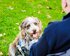Ein Hund mit zotteligem Fell trägt eine blaue Diensthund-Weste. Der Hund sitzt auf einer grünen Wiese und schaut zu einer Person, die im Vordergrund des Bildes in einem Rollstuhl sitzt. Die Person trägt eine dunkelblaue Jacke und ist von hinten zu sehen. Der Hund hat eine freundliche Ausstrahlung und seine Zunge hängt leicht aus dem Mund. | © Andi Weiland Gesellschaftsbilder